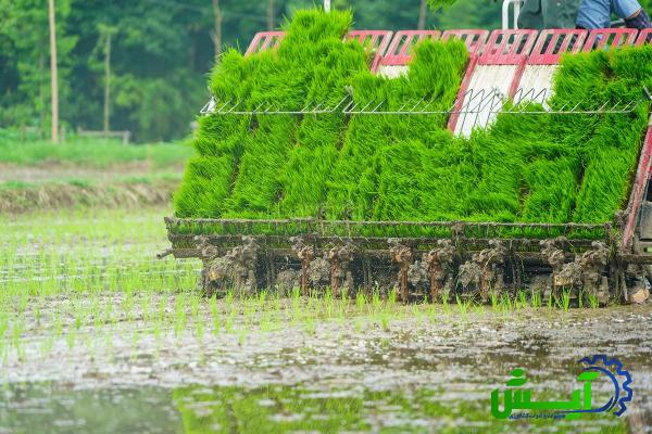 قیمت و خرید دستگاه نشاکاری برنج ایران + فروش ارزان